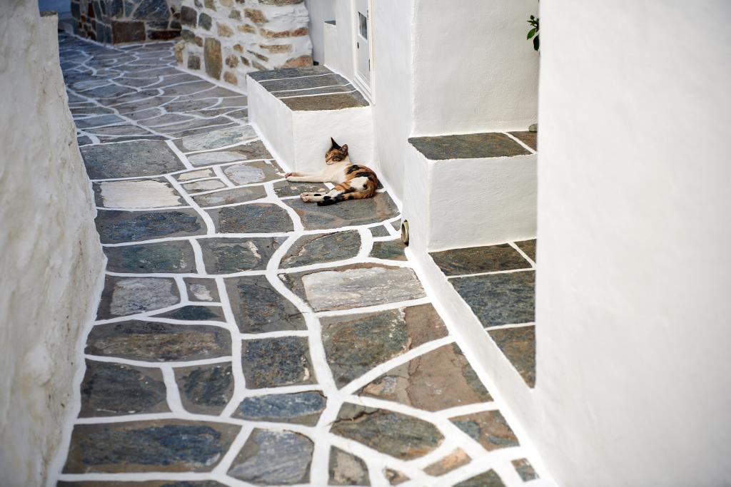 Kastro, Sifnos - 2020 