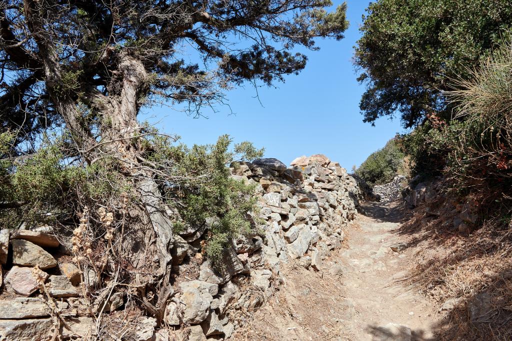 Sifnos - 2020
