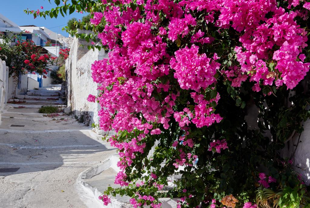Plaka, Milos - 2020 
