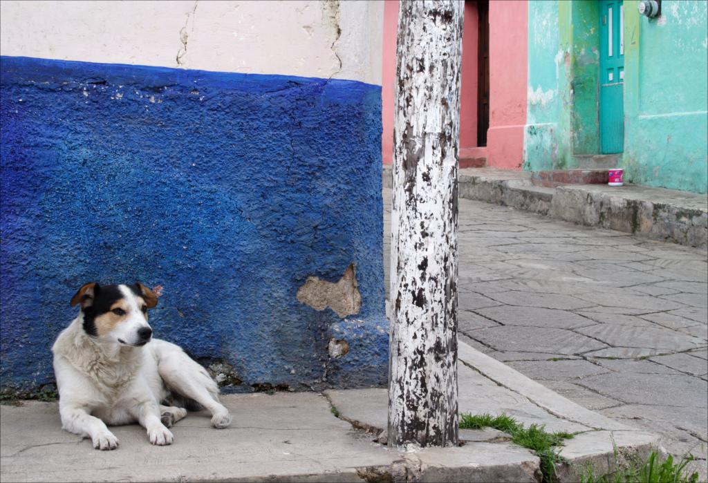 San Cristobal de la Casas, Chiapas [Mexique] - 2006
