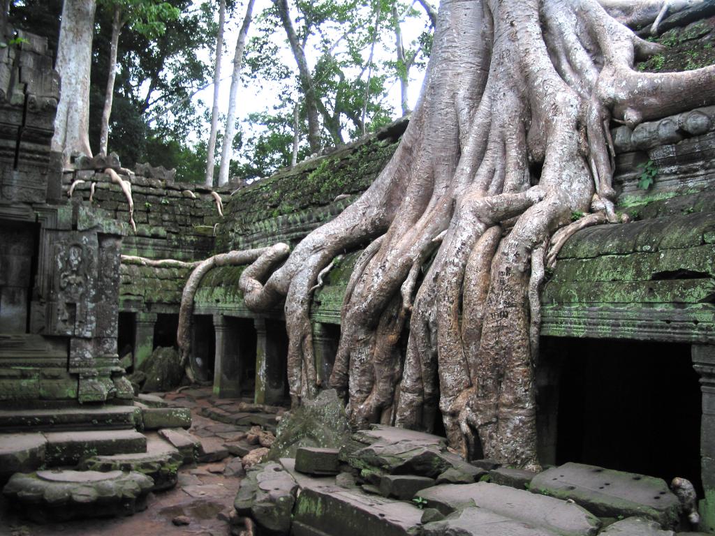 Ta Prohm