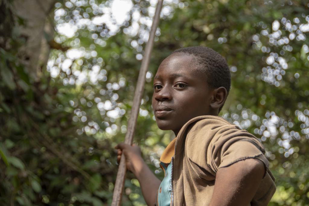 Forêt marécageuse de Lokoli [Bénin] - 2018