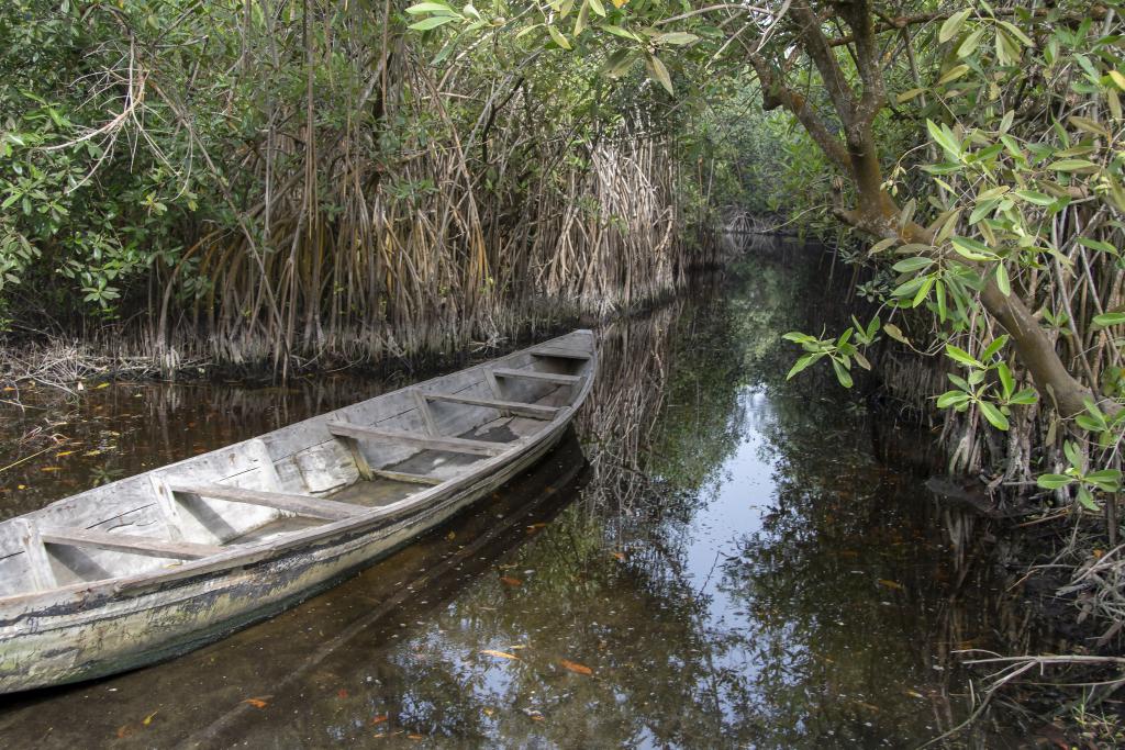 Lagune aux alentours de Ouidah [Bénin] - 2018