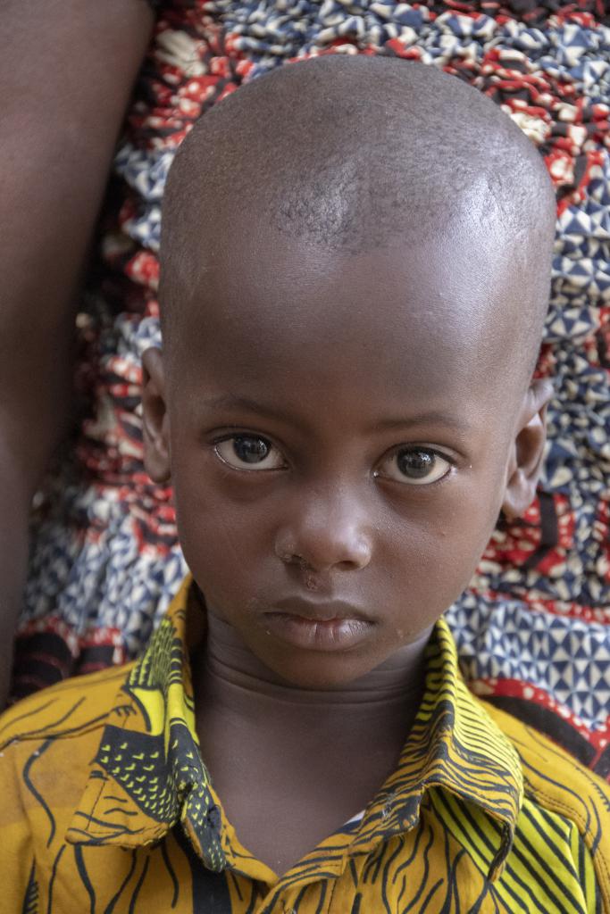 Camate, près de Dassa-Zoumé [Bénin] - 2018