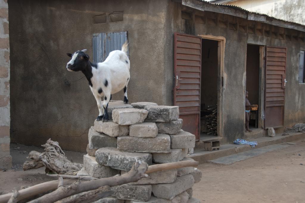 Bopa [Bénin] - 2018