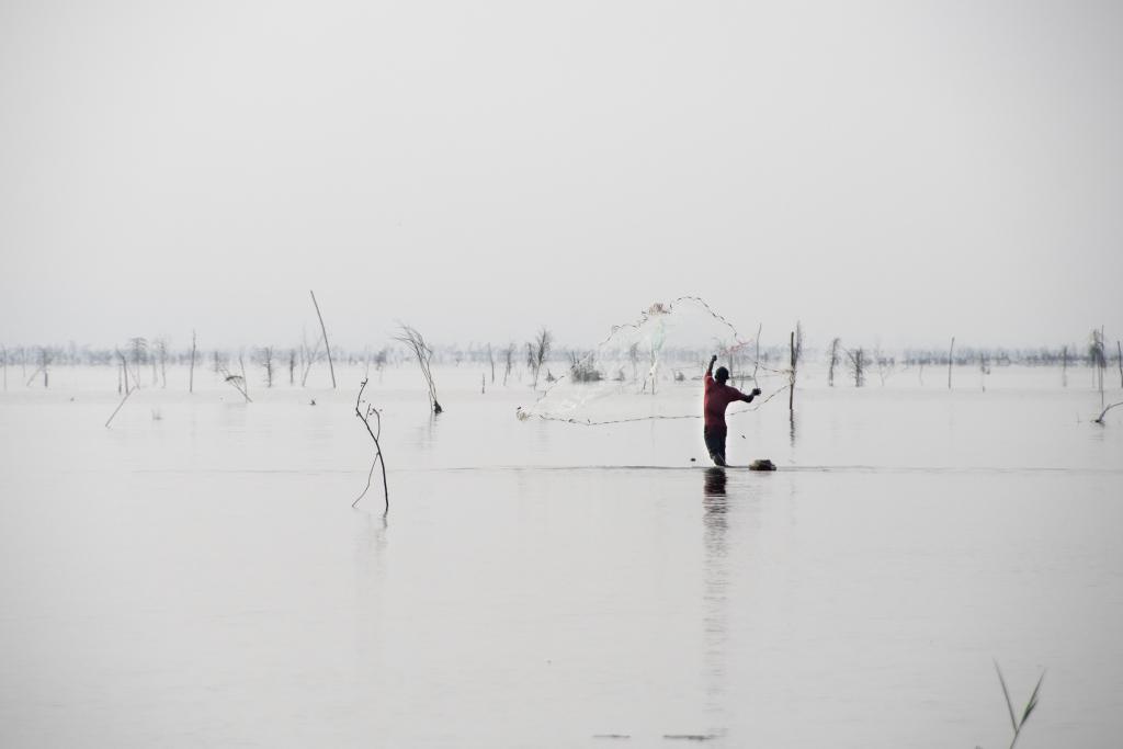 Petit matin sur le lac Ahémé, Bopa [Bénin] - 2018