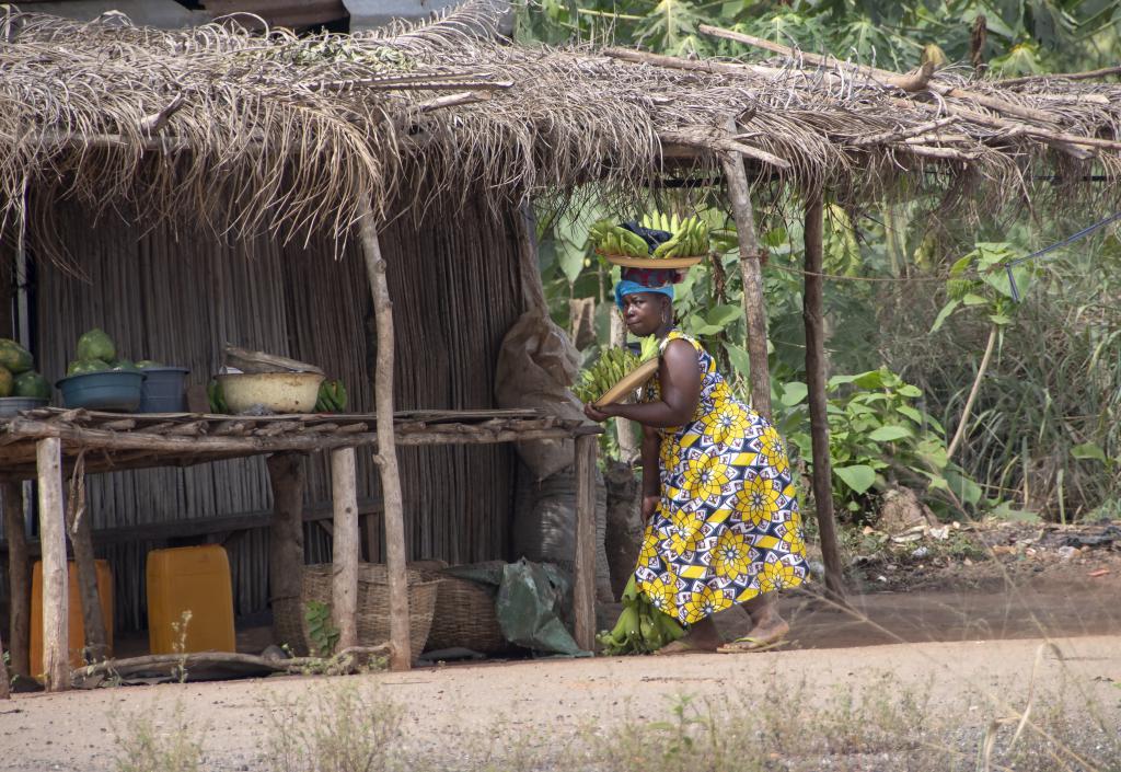 Forêt de Niaouli [Bénin] - 2018