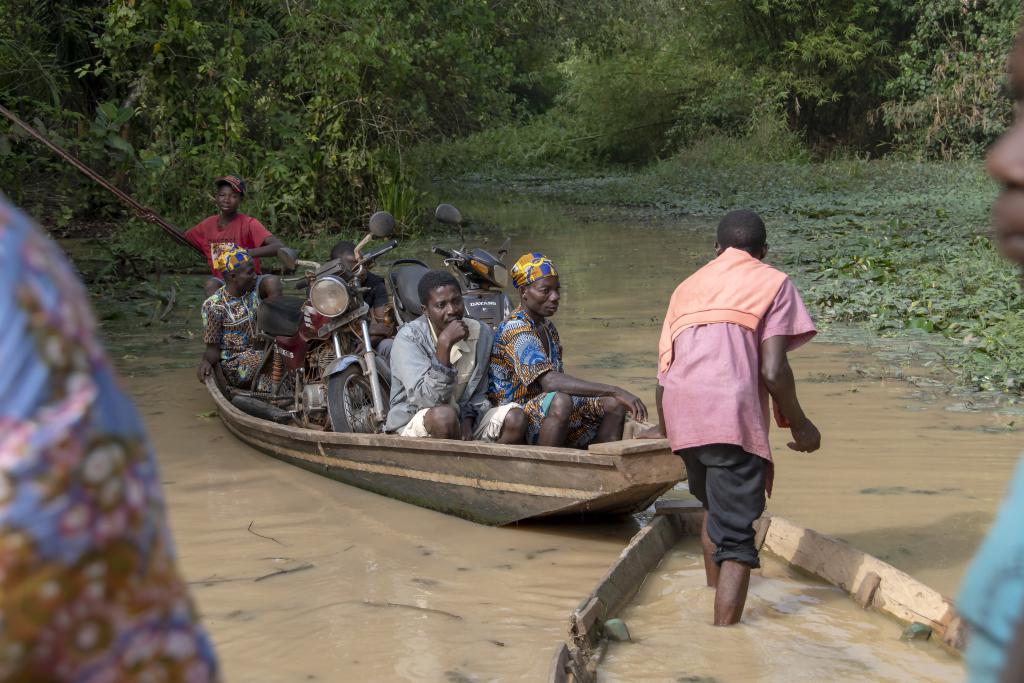 Forêt marécageuse de Lokoli [Bénin] - 2018