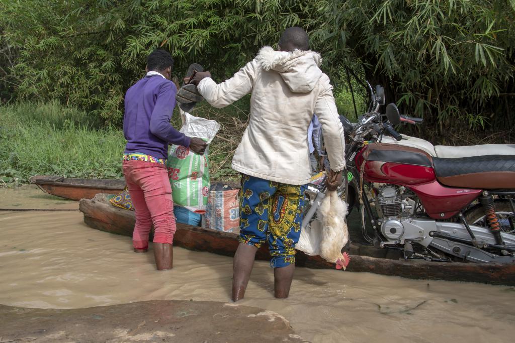 Forêt marécageuse de Lokoli [Bénin] - 2018