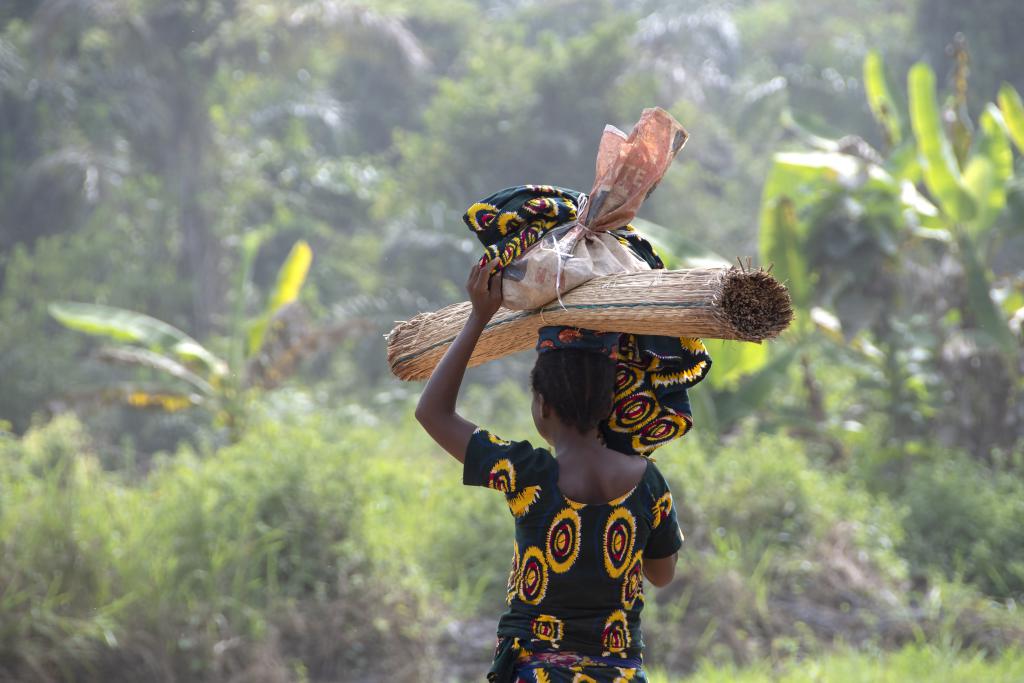 Forêt marécageuse de Lokoli [Bénin] - 2018