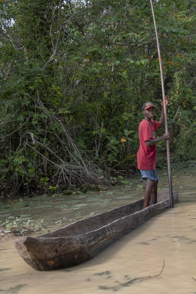 Forêt marécageuse de Lokoli [Bénin] - 2018