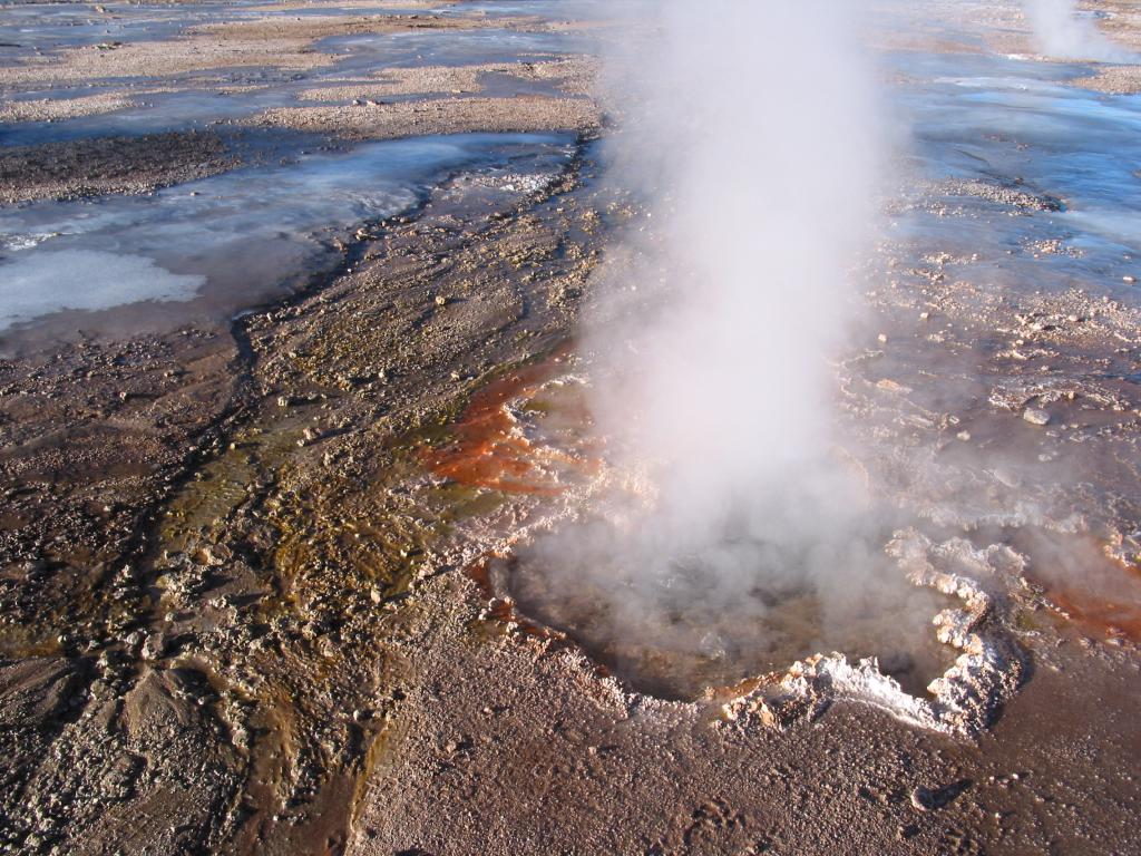 Geysers du Tatio [Bolivie] - 2005