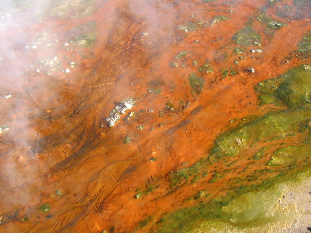 Geysers du Tatio [Bolivie] - 2005