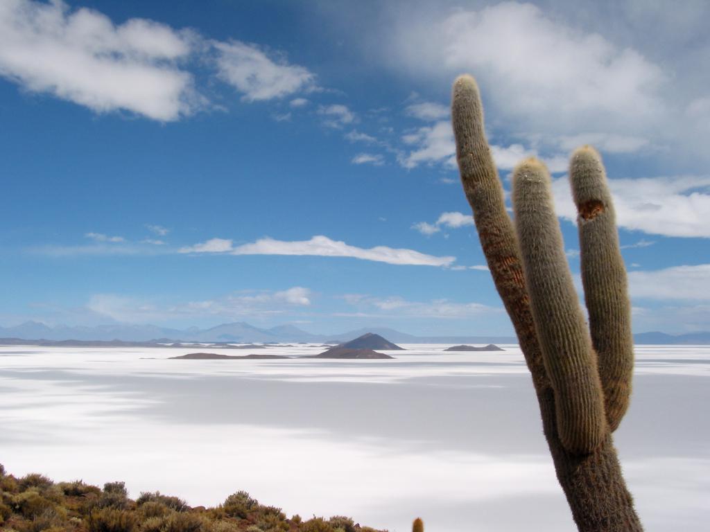 Salar d'Uyuni [Bolivie] - 2005