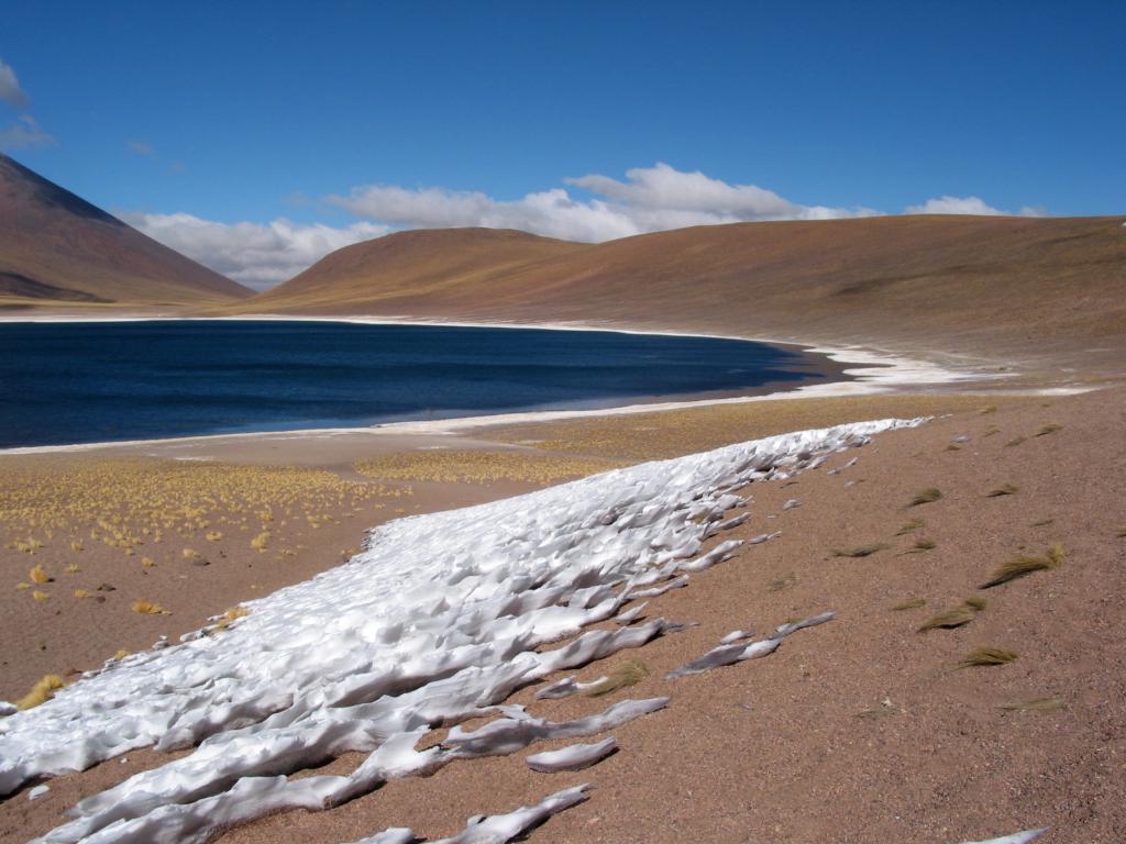 Laguna Miscanti [Chili] - 2005