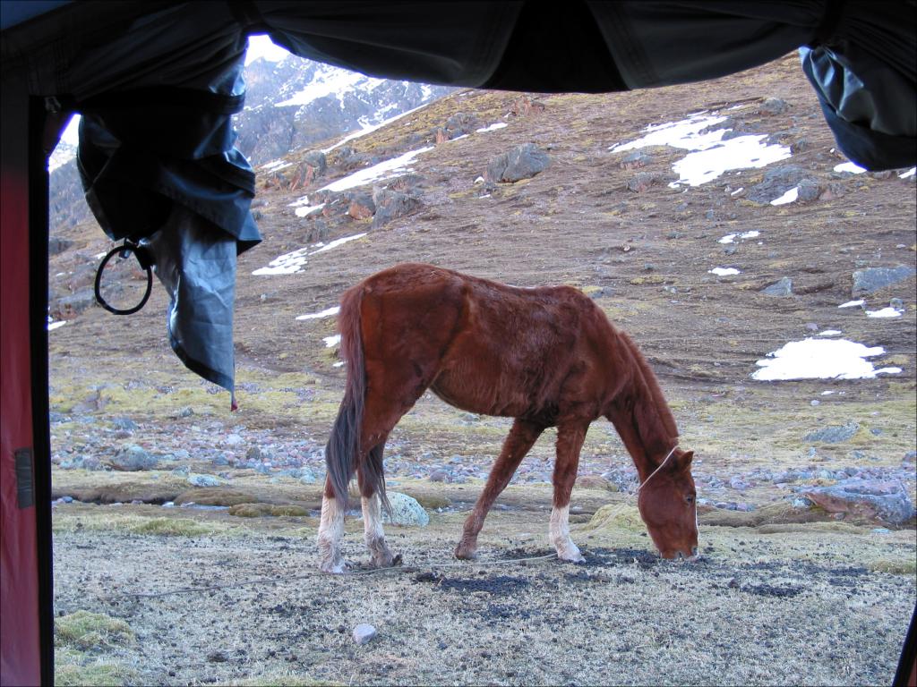 Cordillère de Vilcanota [Pérou] - 2004