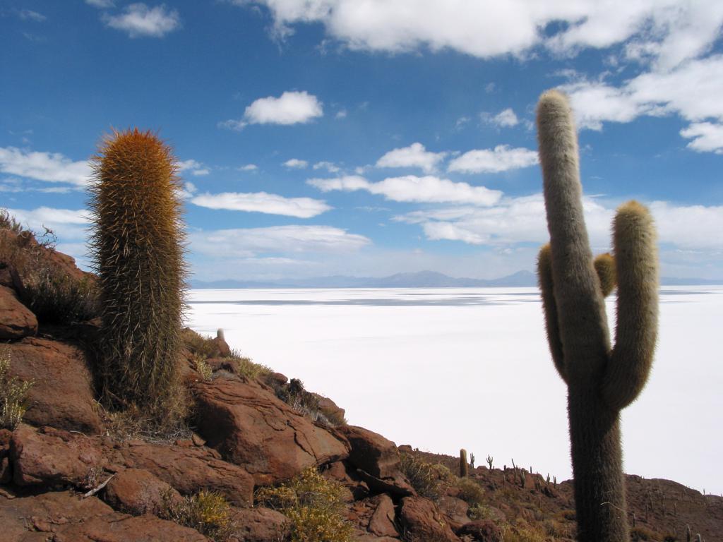 Salar d'Uyuni [Bolivie] - 2005