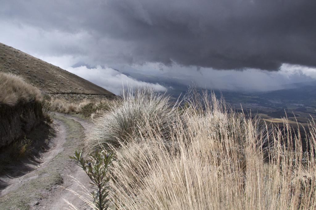 Sur les pentes du volcan Corazon, Aloasi [Equateur] - 2015