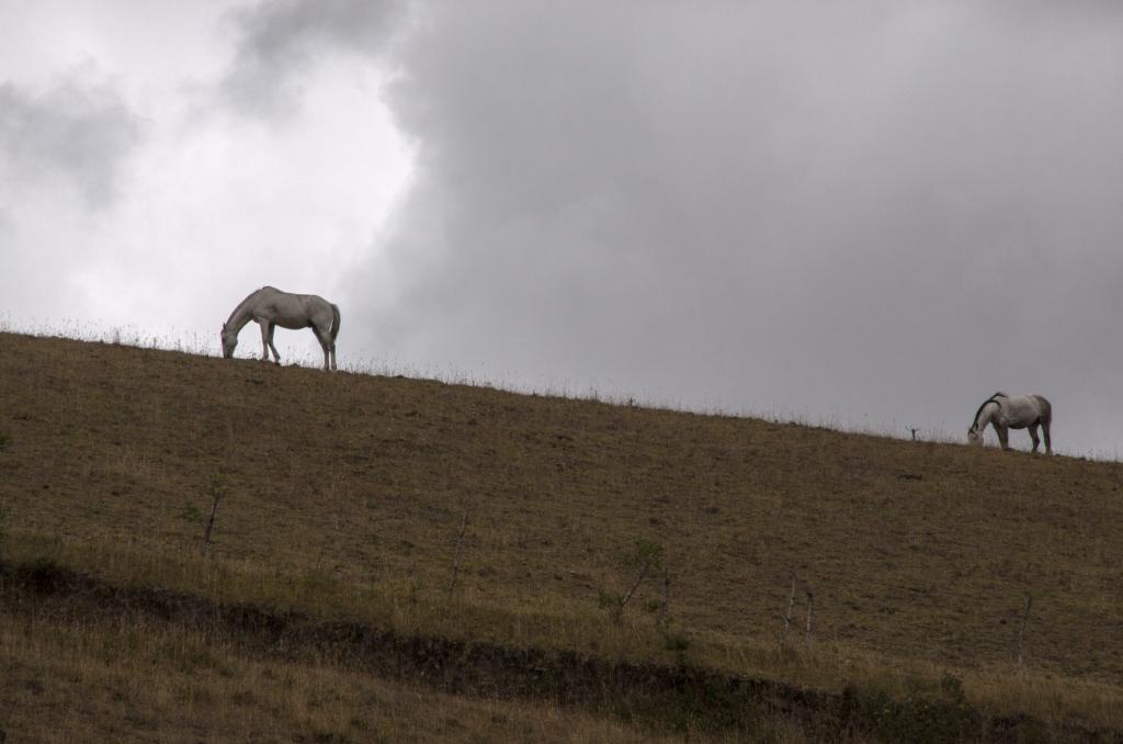 Isinlivi-Chugchilan [Equateur] - 2015