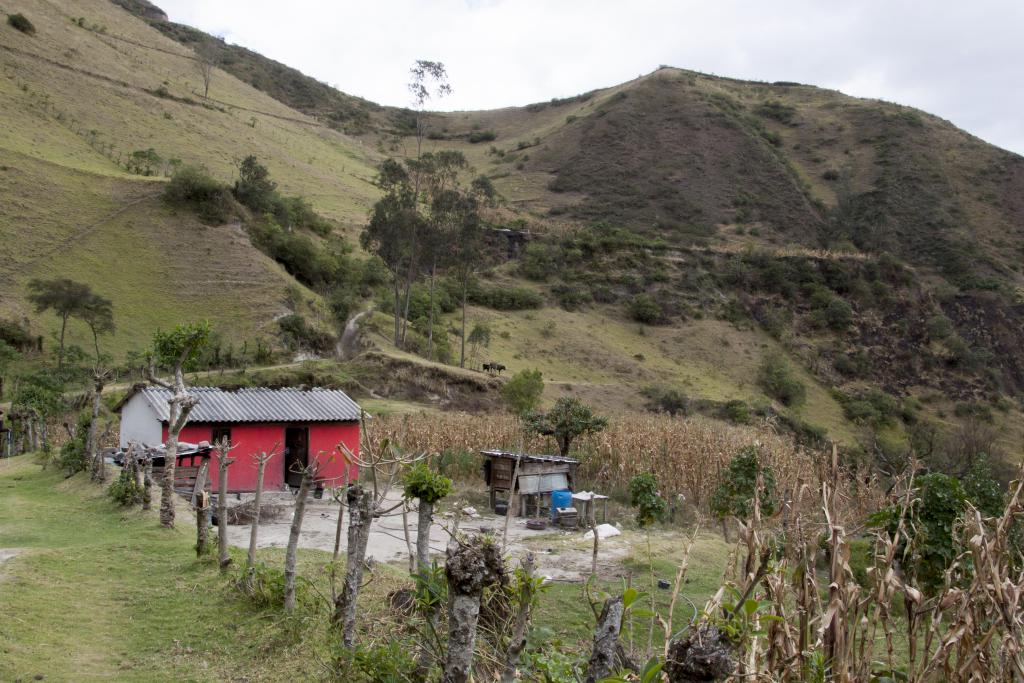 Isinlivi-Chugchilan [Equateur] - 2015