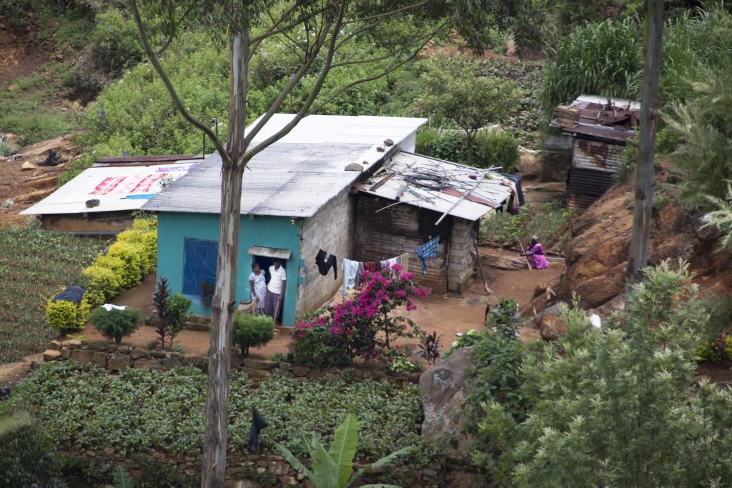 Une maison bleue au milieu des théiers, Nuwara Elya [Sri Lanka] - 2016