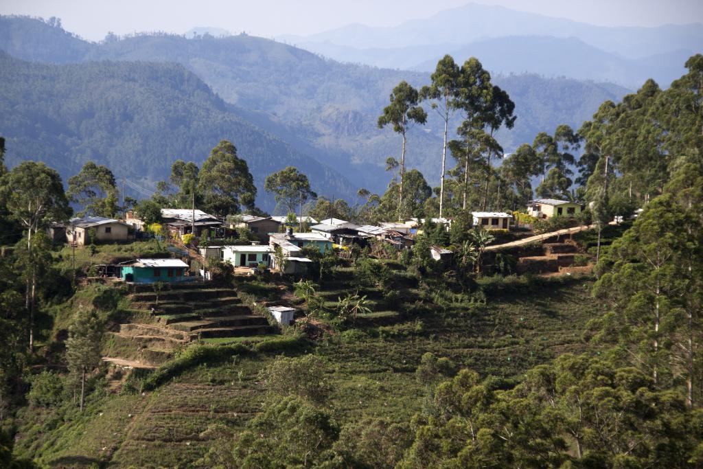 Nuwara Elya [Sri Lanka] - 2016