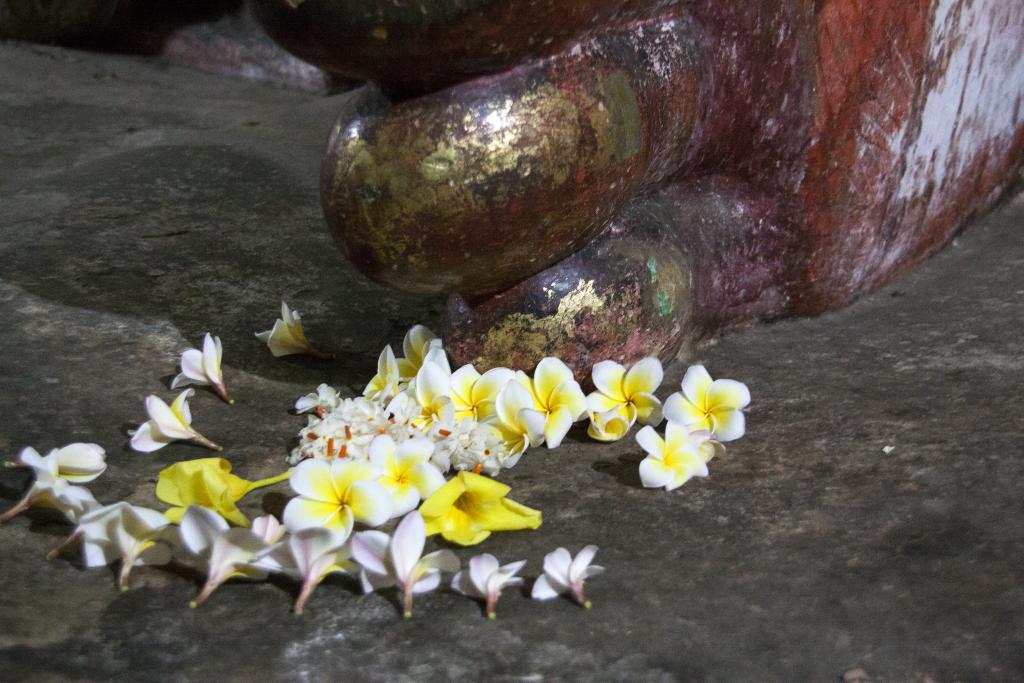 Dambulla [Sri Lanka] - 2016