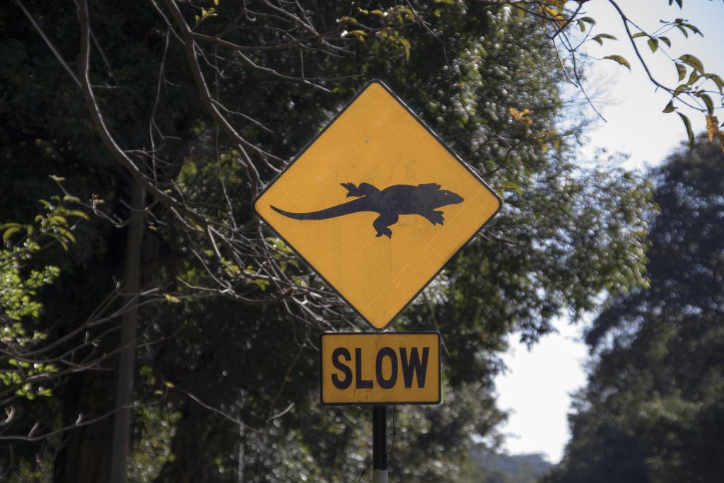 Signalisation routière [Sri Lanka] - 2016