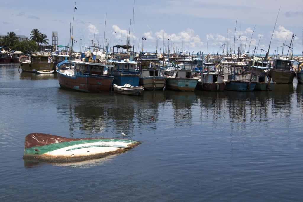 Port de Beruwala [Sri Lanka] - 2016