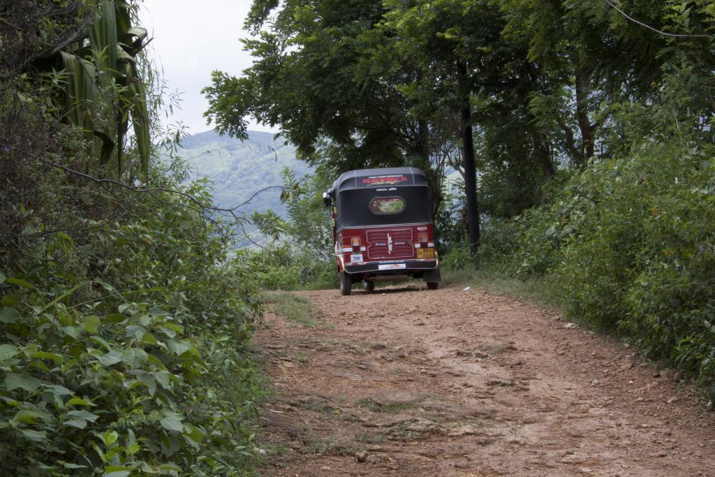 Knuckles Mountains [Sri Lanka] - 2016