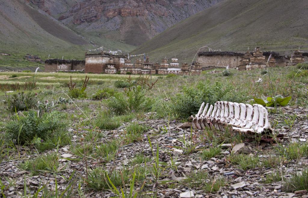 Ribo Gompa, Dho, Dolpo [Népal] - 2012