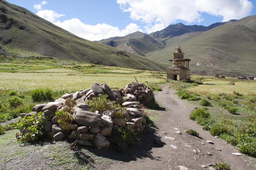 Dho Tarap, Dolpo [Népal] - 2012