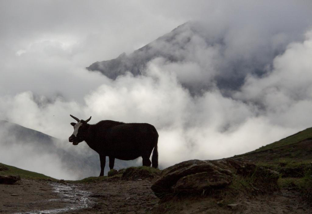 La nuit tombe près du Numa La, 5200 m, Dolpo [Népal] - 2012