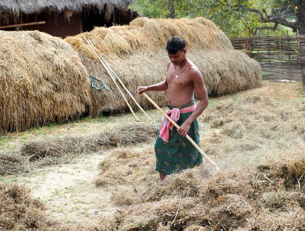 Ethnie Desia Kondh [Orissa, Inde] - 2020