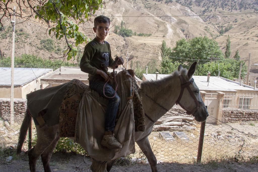 Monts Alborz [Iran] - 2018