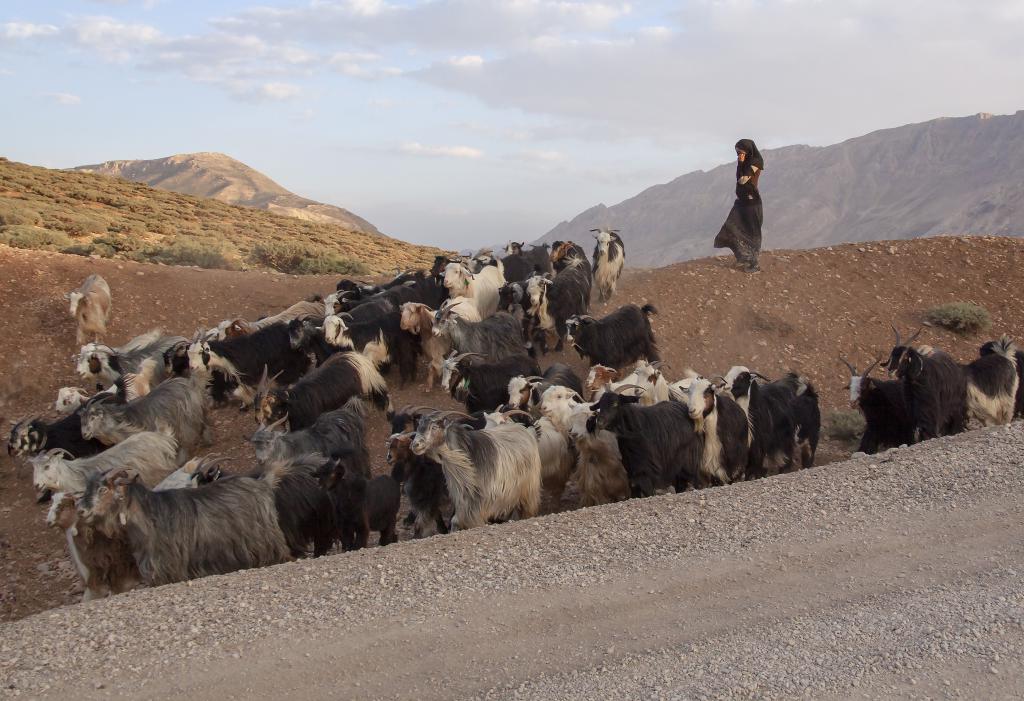 Monts Zagros, vallée de Kuhrang [Iran] - 2018