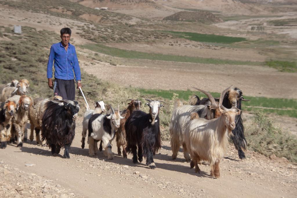 Monts Zagros, vallée de Kuhrang [Iran] - 2018