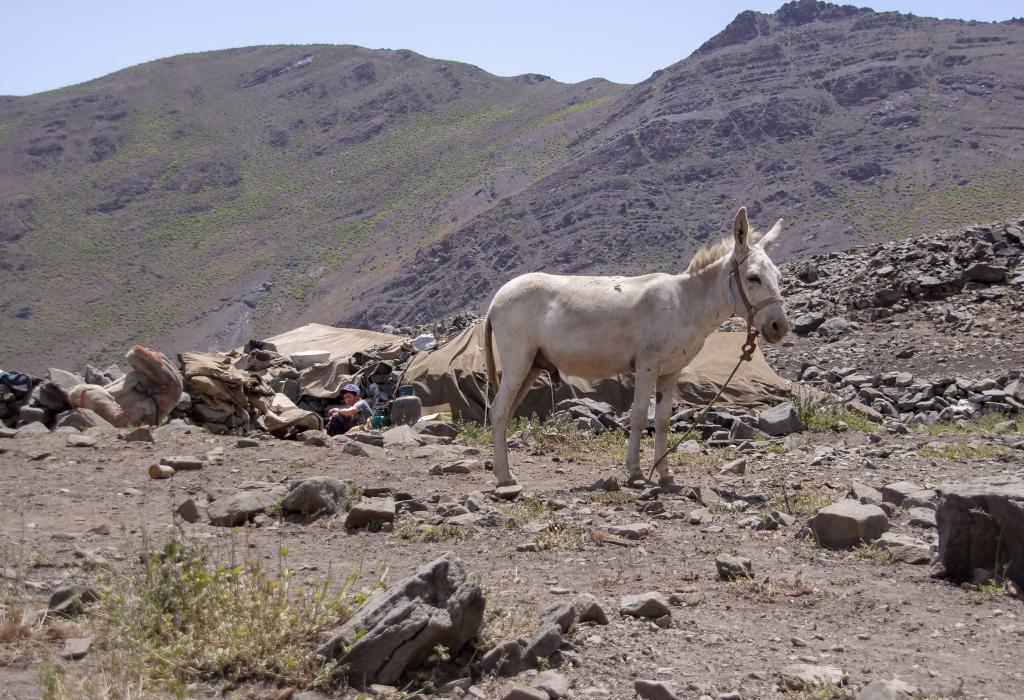 Campement nomade, Monts Alborz [Iran] - 2018