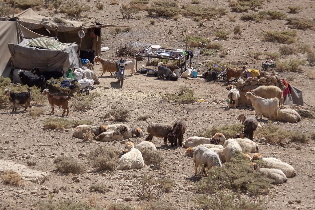 Campement nomade, Monts Zagros, vallée de Kuhrang [Iran] - 2018