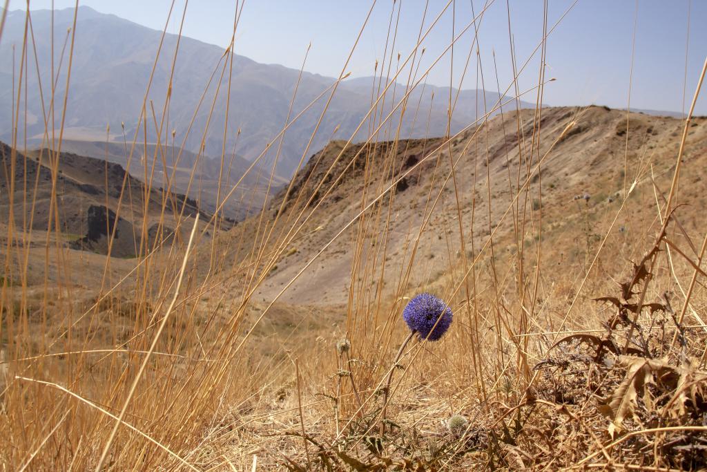 Monts Alborz [Iran] - 2018