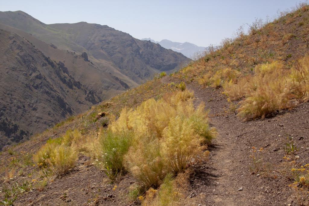 Monts Alborz [Iran] - 2018