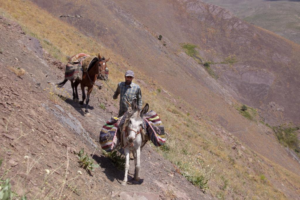 Monts Alborz [Iran] - 2018