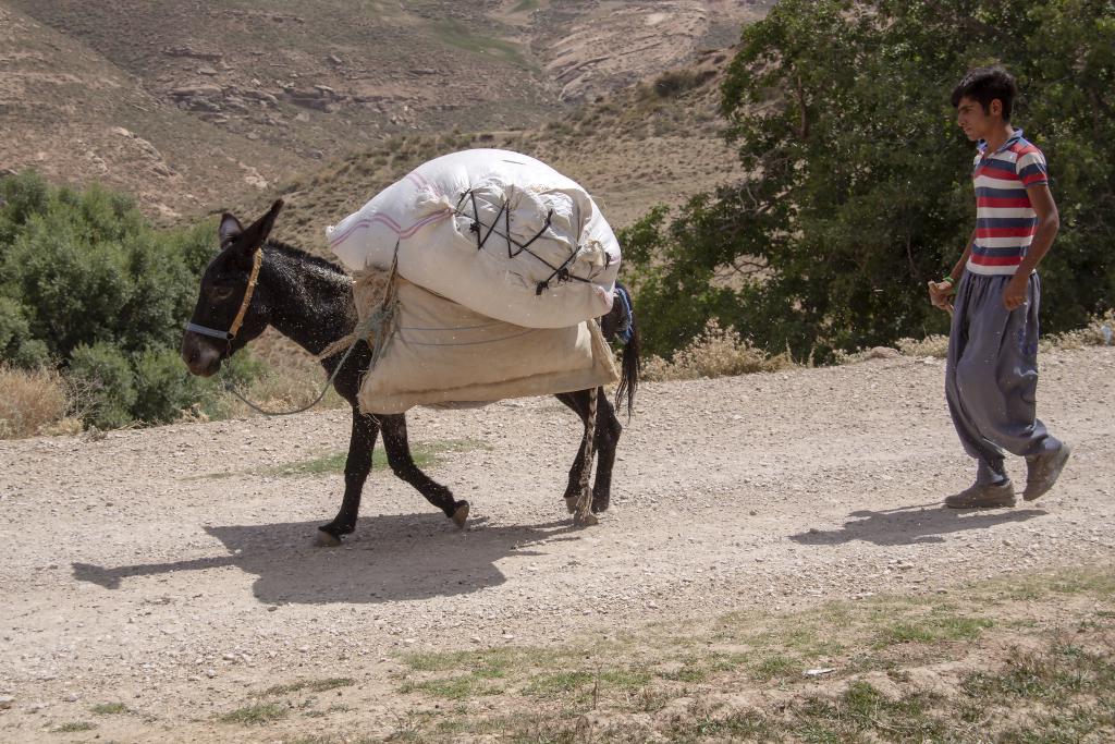 Monts Zagros, vallée de Kuhrang [Iran] - 2018