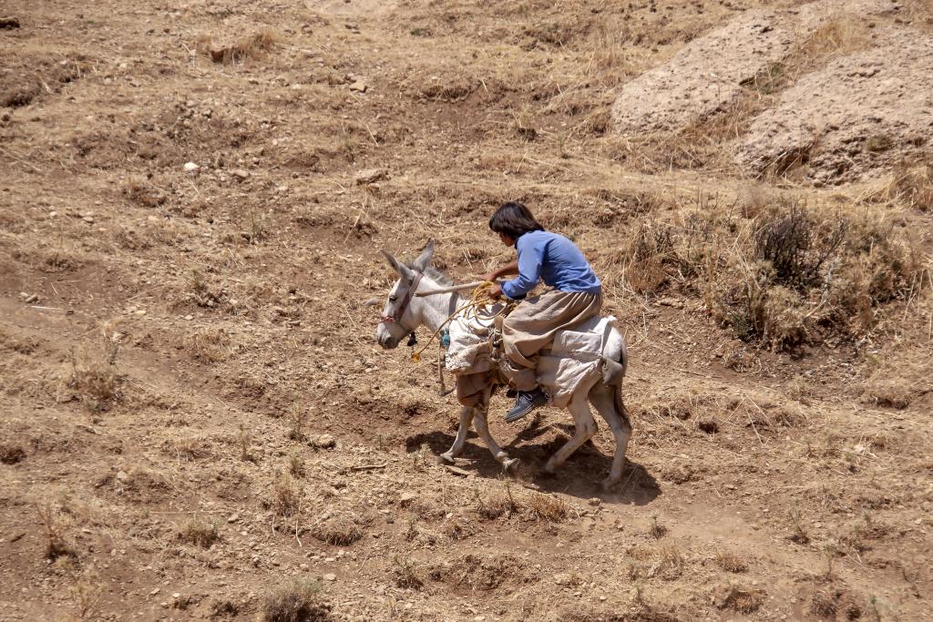 Monts Zagros, vallée de Kuhrang [Iran] - 2018