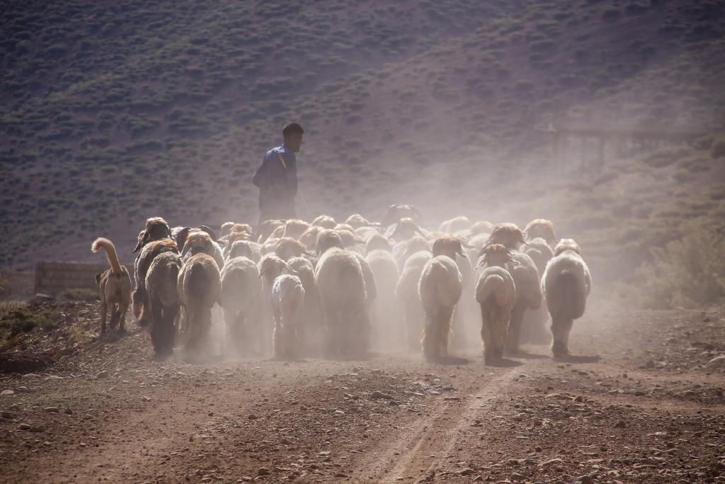 Monts Zagros, vallée de Kuhrang [Iran] - 2018