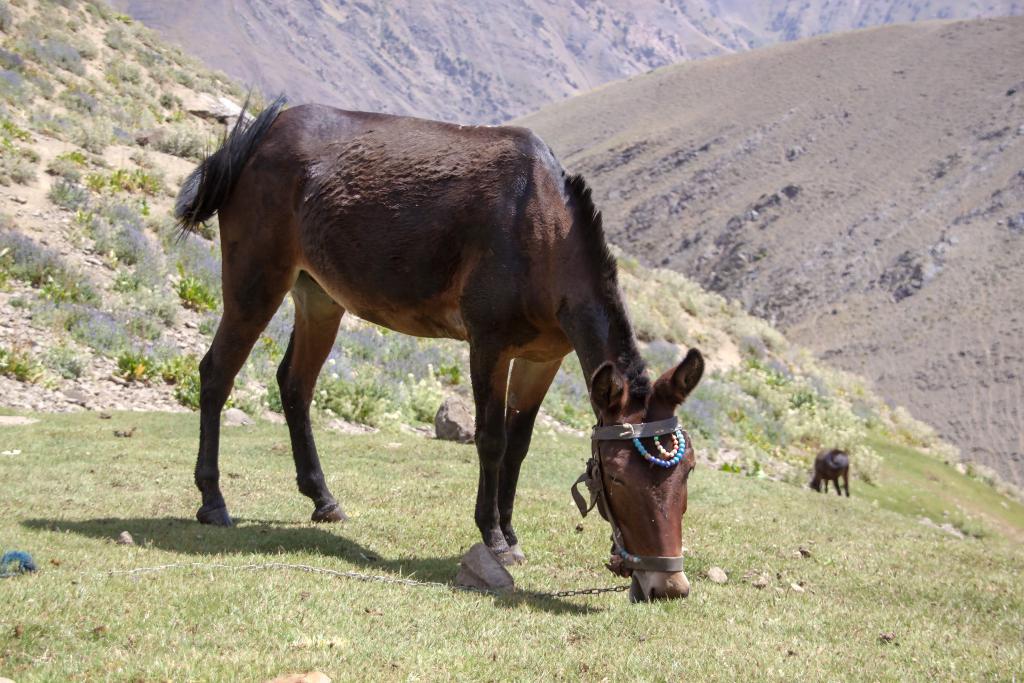 Monts Alborz [Iran] - 2018