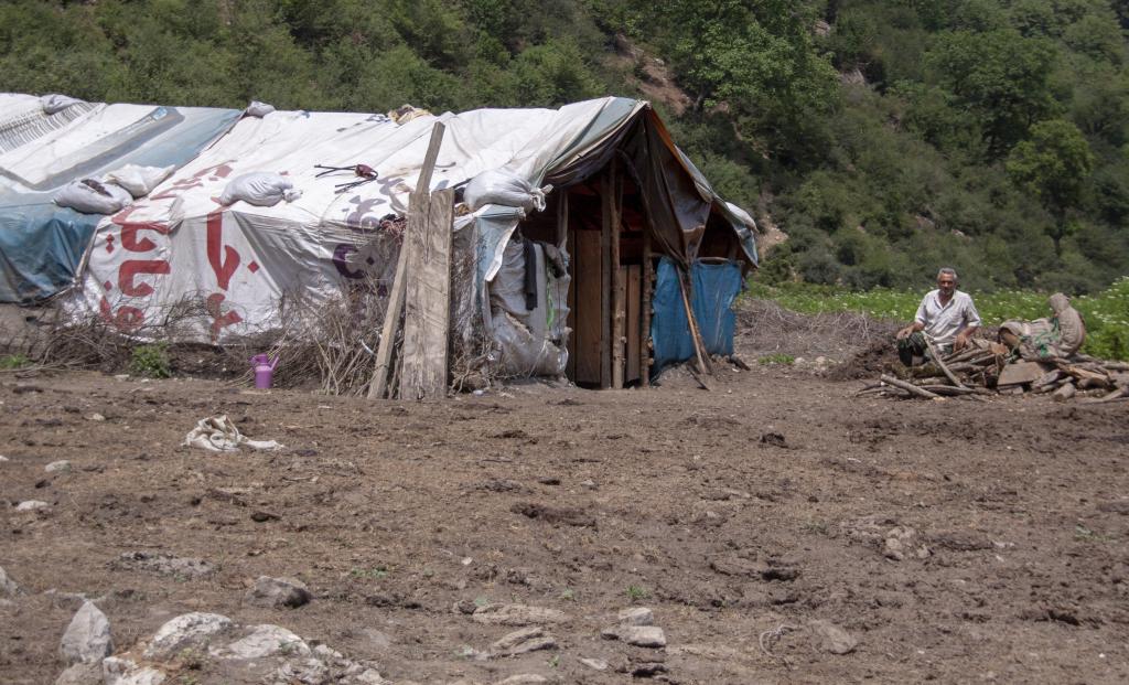 Paturages de Kodchaal, Monts Alborz [Iran] - 2018