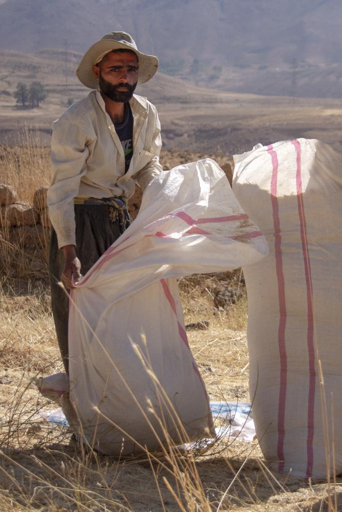 Monts Zagros, vallée de Kuhrang [Iran] - 2018