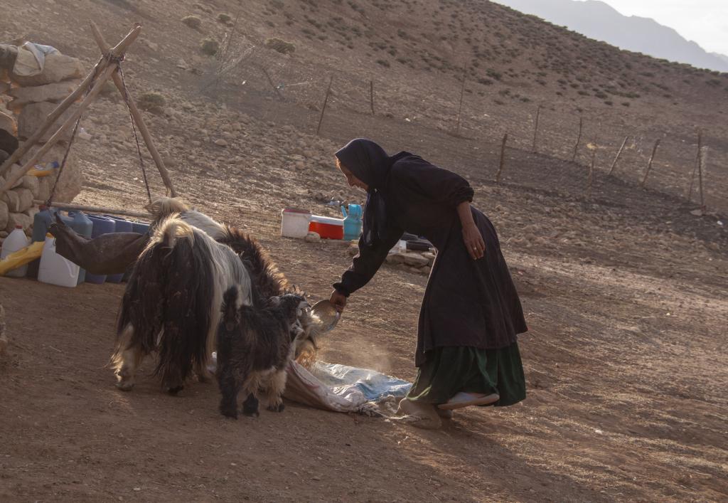 Nomades bakhtiaris, Monts Zagros, vallée de Kuhrang [Iran] - 2018