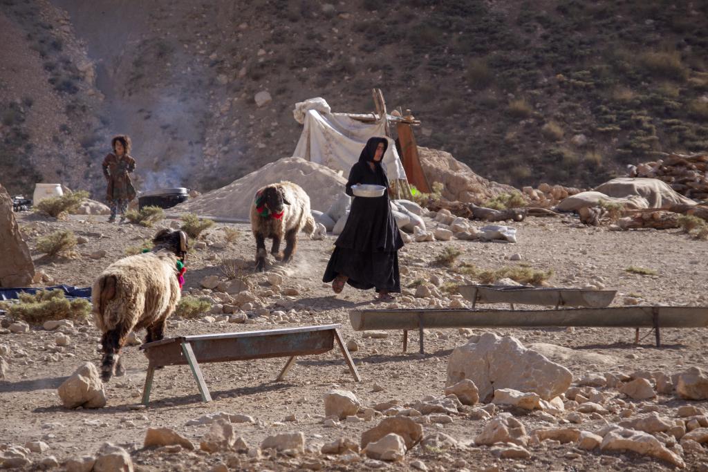 Nomades bakhtiaris, Monts Zagros, vallée de Kuhrang [Iran] - 2018